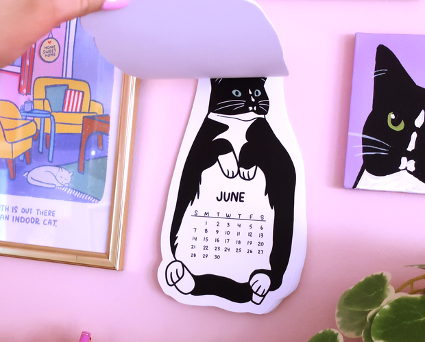 Tuxedo cat 2026 wall calendar